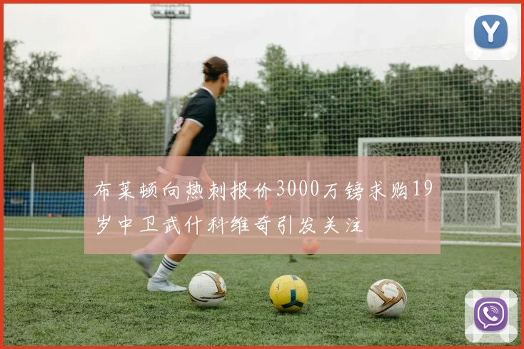 布莱顿向热刺报价3000万镑求购19岁中卫武什科维奇引发关注